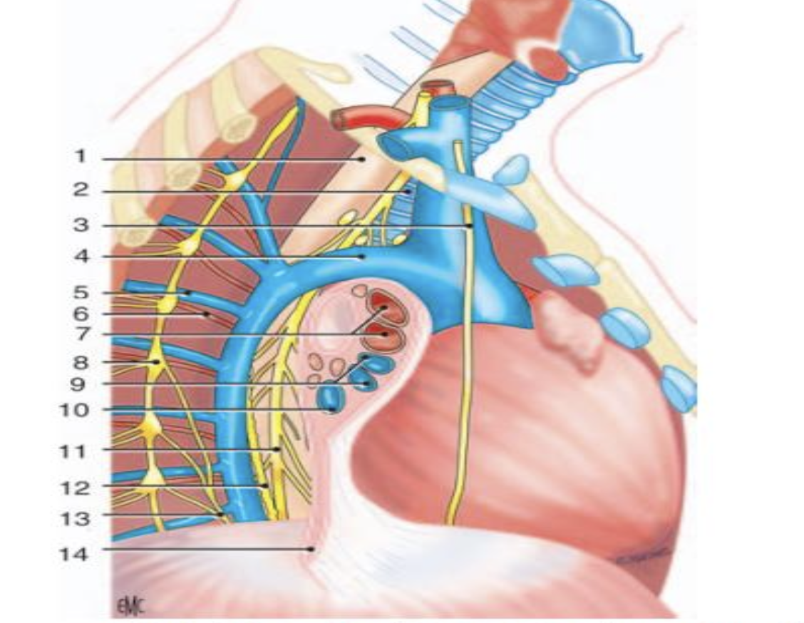 Description of image